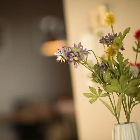 公寓 Kleiner Sundblick - In Lemkenhafen 费马恩